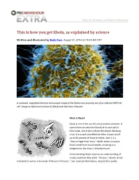 This Is How You Get Ebola, As Explained by Science