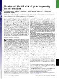 Bioinformatic Identification of Genes Suppressing Genome Instability