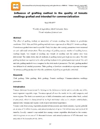 Influence of Grafting Method in the Quality of Tomato Seedlings Grafted and Intended for Commercialization