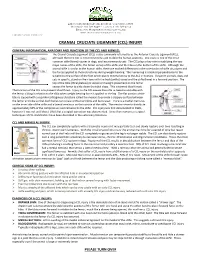 CCL INJURY HANDOUT.Pdf