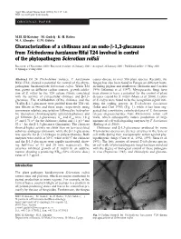 Characterization of a Chitinase and an Endo-Β-1,3-Glucanase from Trichoderma Harzianum Rifai T24 Involved in Control of the Phytopathogen Sclerotium Rolfsii