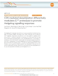 CSN-Mediated Deneddylation Differentially Modulates Ci 155 Proteolysis to Promote Hedgehog Signalling Responses