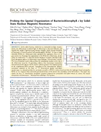 Probing the Spatial Organization of Bacteriochlorophyll C by Solid