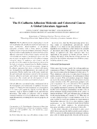 The E-Cadherin Adhesion Molecule and Colorectal Cancer. a Global