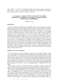 1995 a Large Scale Migration of The