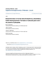Biotransformation of Two-Line Silica-Ferrihydrite by a Dissimilatory Fe(III)-Reducing Bacterium: Formation of Carbonate Green Rust in the Presence of Phosphate
