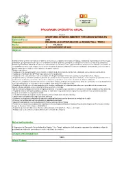 Programa Operativo Anual
