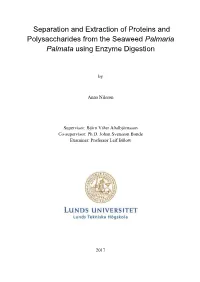 Separation and Extraction of Proteins and Polysaccharides from the Seaweed Palmaria Palmata Using Enzyme Digestion
