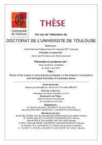Study of the Impact of Oenological Processes on the Phenolic Composition and Biological Activities of Lebanese Wines