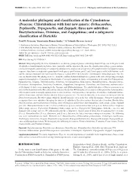 A Molecular Phylogeny and Classification of the Cynodonteae