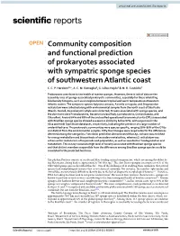 Community Composition and Functional Prediction of Prokaryotes Associated with Sympatric Sponge Species of Southwestern Atlantic Coast C