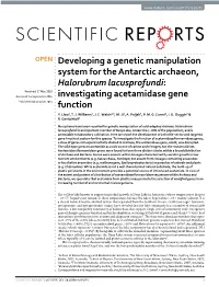 Developing a Genetic Manipulation System for the Antarctic Archaeon, Halorubrum Lacusprofundi: Investigating Acetamidase Gene Function