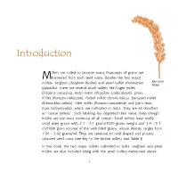 Introduction