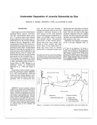 Underwater Separation of Juvenile Salmonids by Size