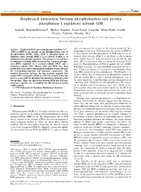 Biophysical Interaction Between Phospholamban and Protein Phosphatase 1 Regulatory Subunit GM