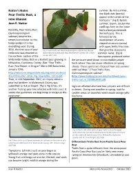 Pear Trellis Rust, a New Disease