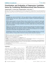 Prioritization and Evaluation of Depression Candidate Genes by Combining Multidimensional Data Resources