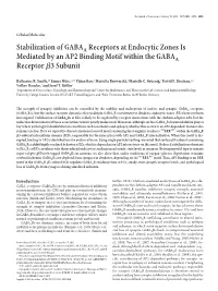 Stabilization of GABAA Receptors at Endocytic Zones Is Mediated by an AP2 Binding Motif Within the GABAA Receptor ␤3 Subunit