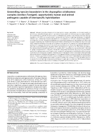 Unravelling Species Boundaries in The