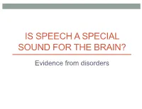 Bilateral Damage to Auditory Cortex