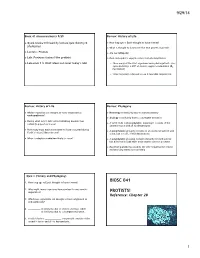 CH28 PROTISTS.Pptx