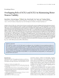 Overlapping Role of SCYL1 and SCYL3 in Maintaining Motor Neuron Viability