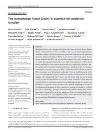 The Transcription Factor Dach1 Is Essential for Podocyte Function