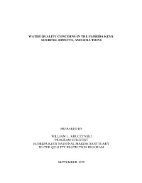 Water Quality Concerns in the Florida Keys: Sources, Effects, and Solutions