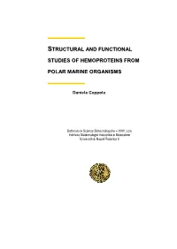 Structural and Functional Studies of Hemoproteins