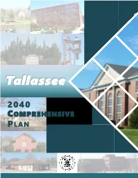 Comprehensive Plan P Age Intentionally Left Blank