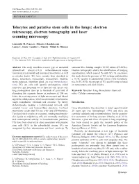 Telocytes and Putative Stem Cells in the Lungs: Electron Microscopy, Electron Tomography and Laser Scanning Microscopy