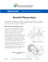 Brachial Plexus Injury