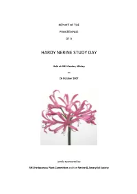 Hardy Nerine Study Day