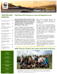 Heart of Borneo NI Newsletter October-Resized