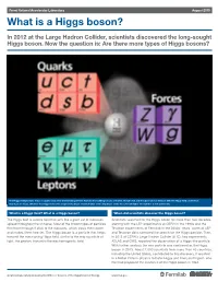 What Is a Higgs Boson?