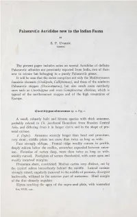 Faunistic Elements (Oedipoda, Calliptamus), and Those of the So