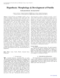 Hypothesis: Morphology & Development of Patella