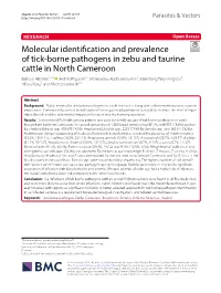 Molecular Identification and Prevalence of Tick-Borne Pathogens