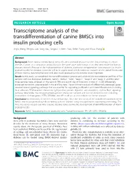 Transcriptome Analysis of the Transdifferentiation of Canine