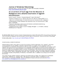 An Occurrence of Fossil Eggs from the Mesozoic of Madagascar and a Detailed Observation of Eggshell Microstructure Daniel R