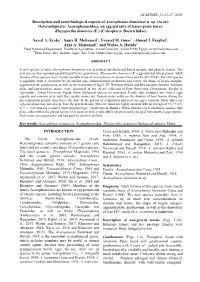 Description and Some Biological Aspects of Acarophenax Dominicai N