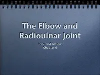 The Elbow and Radioulnar Joint Bone and Actions Chapter 6 Terminology