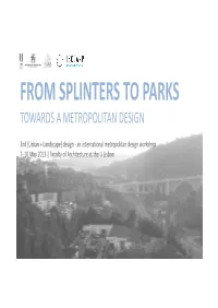 From Splinters to Parks Towards a Metropolitan Design