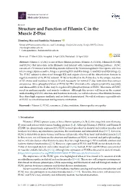Structure and Function of Filamin C in the Muscle Z-Disc