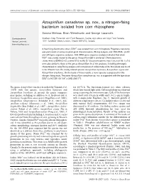 Azospirillum Canadense Sp. Nov., a Nitrogen-Fixing Bacterium Isolated