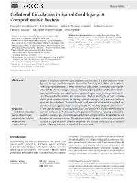Collateral Circulation in Spinal Cord Injury: a Comprehensive Review