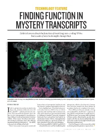 FINDING FUNCTION in MYSTERY TRANSCRIPTS Little Is Known About the Function of Most Long Non-Coding Rnas