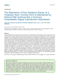 The Expression of Key Guidance Genes at a Forebrain Axon Turning Point Is Maintained by Distinct Fgfr Isoforms but a Common Downstream Signal Transduction Mechanism