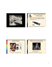 Who Invented the First Microscope?