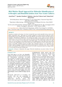 Rbcl Marker Based Approach for Molecular Identification of Arthrospira and Dunaliella Isolates from Non-Axenic Cultures